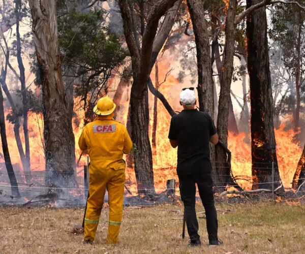 Legal and Policy Frameworks Governing Bushfire Risk Assessment